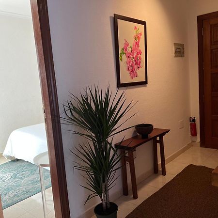 Cozy Apartment Santa Cruz de Tenerife Bagian luar foto